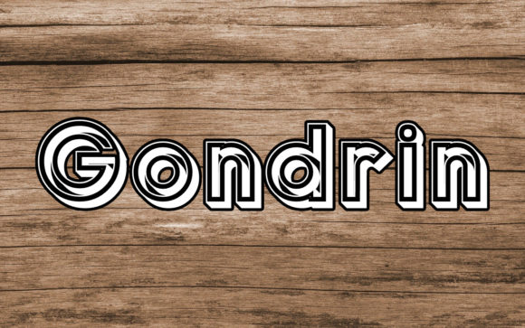 Gondrin Font for Professional Branding