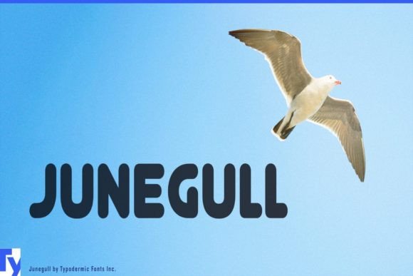 Junegull: A Soft, Smart Font for Polished Branding