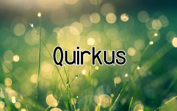 Quirkus: A Bold Display Font for Digital Creativity