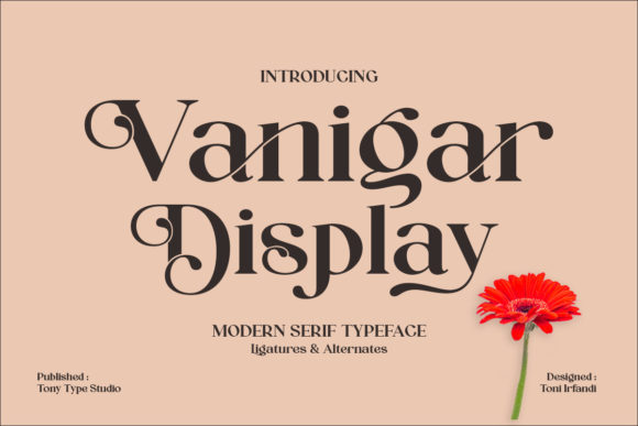 Vanigar Display for Handmade Creations